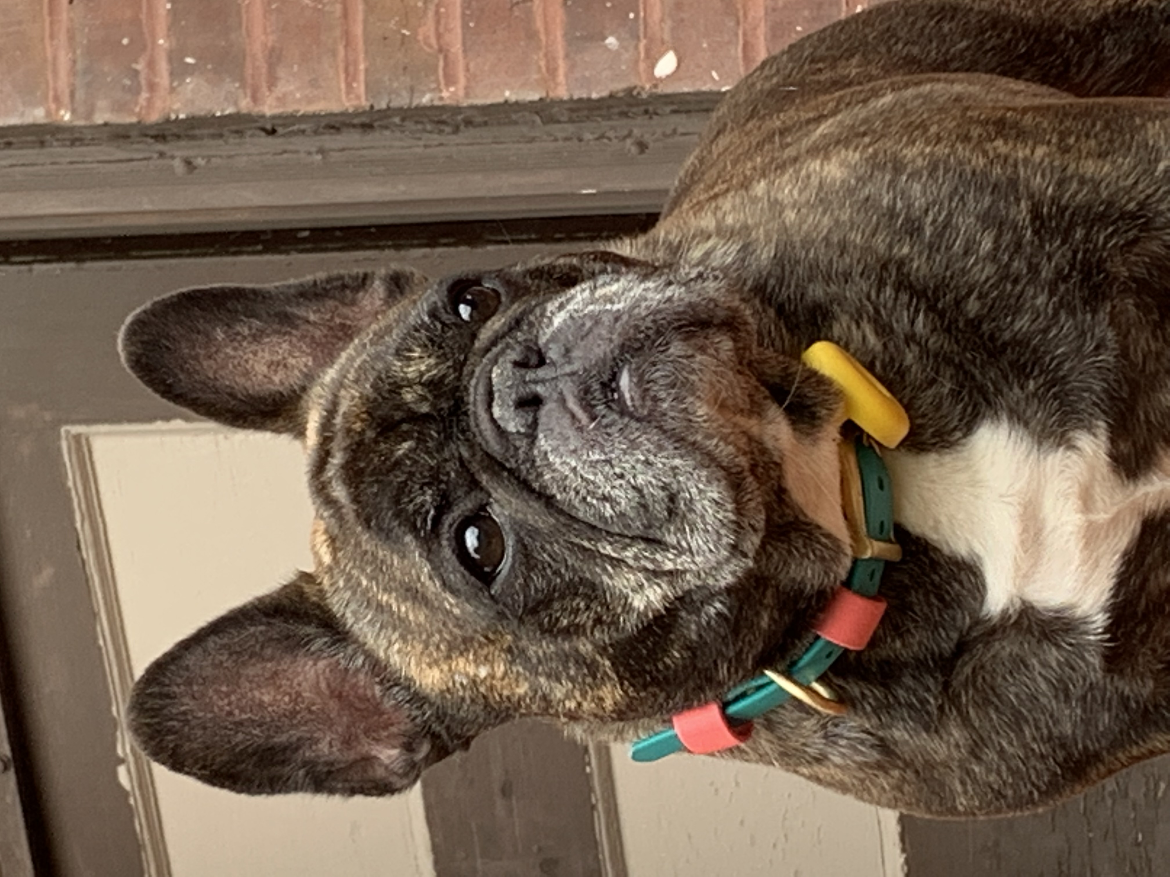 ./2022/06 - St Louis/05 - Day 5/20220525-121551839.JPG